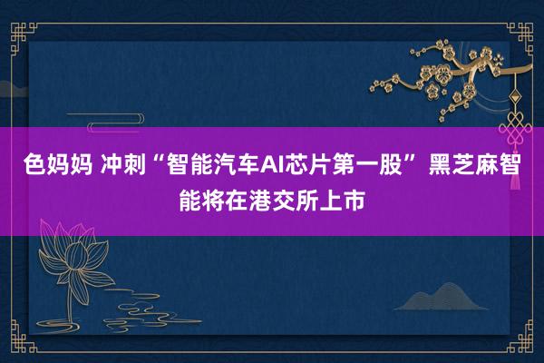 色妈妈 冲刺“智能汽车AI芯片第一股” 黑芝麻智能将在港交所上市