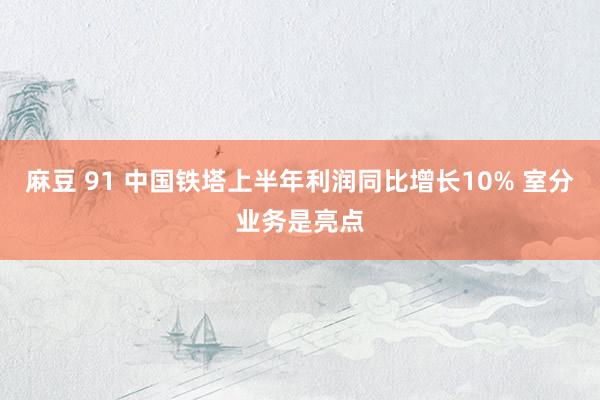 麻豆 91 中国铁塔上半年利润同比增长10% 室分业务是亮点