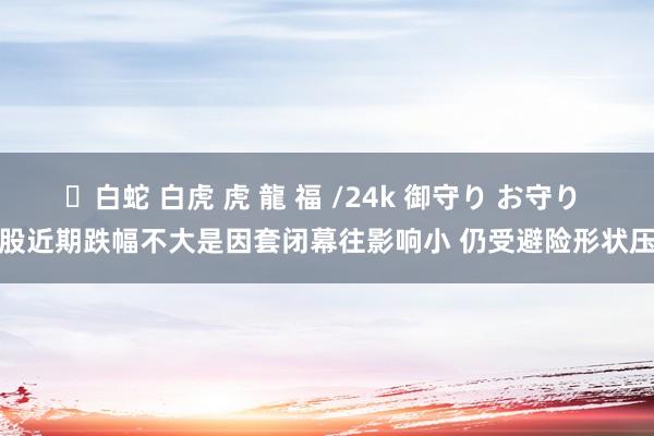 ✨白蛇 白虎 虎 龍 福 /24k 御守り お守り 港股近期跌幅不大是因套闭幕往影响小 仍受避险形状压制