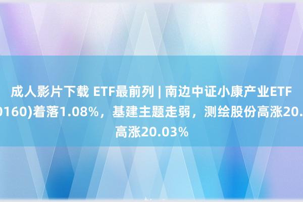 成人影片下载 ETF最前列 | 南边中证小康产业ETF(510160)着落1.08%，基建主题走弱，测绘股份高涨20.03%