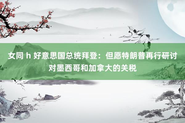 女同 h 好意思国总统拜登：但愿特朗普再行研讨对墨西哥和加拿大的关税