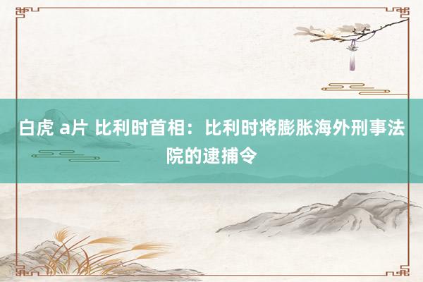 白虎 a片 比利时首相：比利时将膨胀海外刑事法院的逮捕令