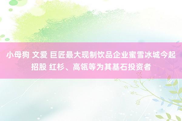 小母狗 文爱 巨匠最大现制饮品企业蜜雪冰城今起招股 红杉、高瓴等为其基石投资者